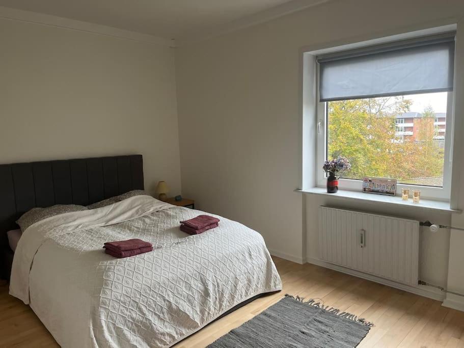 Stor Og Lys Lejlighed I Hjertet Af Holstebro Kültér fotó