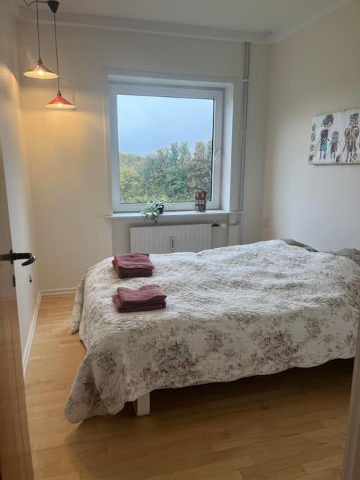 Stor Og Lys Lejlighed I Hjertet Af Holstebro Kültér fotó