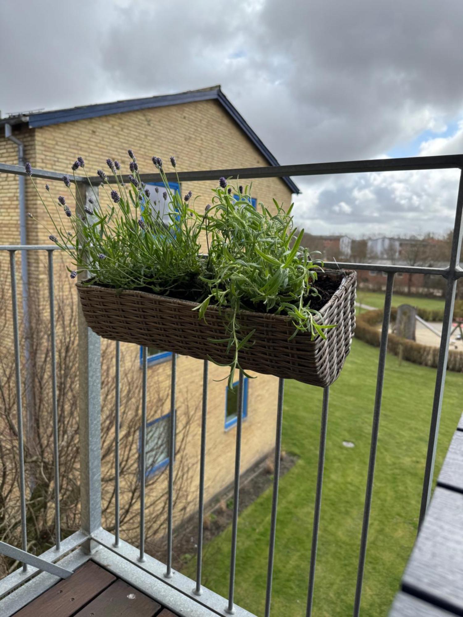 Stor Og Lys Lejlighed I Hjertet Af Holstebro Kültér fotó